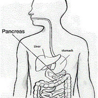 Связь между острым и хроническим панкреатитом. Единство патологических процессов
